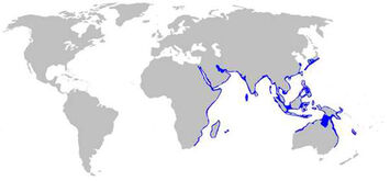 Carte de l'habitat du Requin-léopard par Sharksider.com