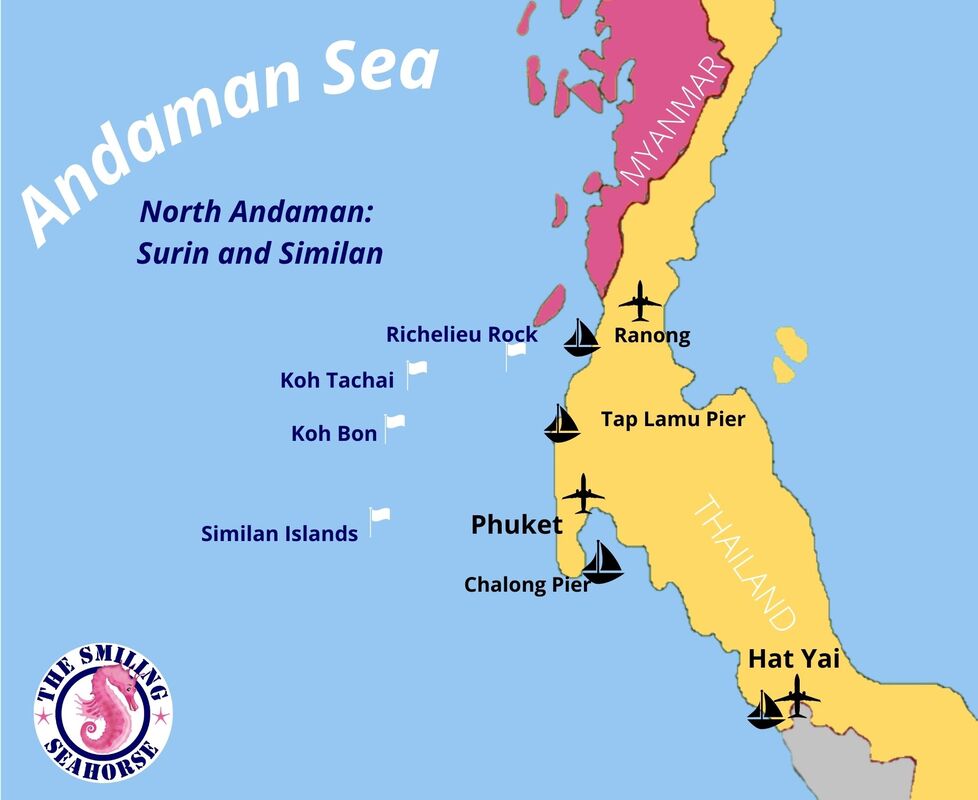 6 Jours de plongée Nord des iles Andaman 