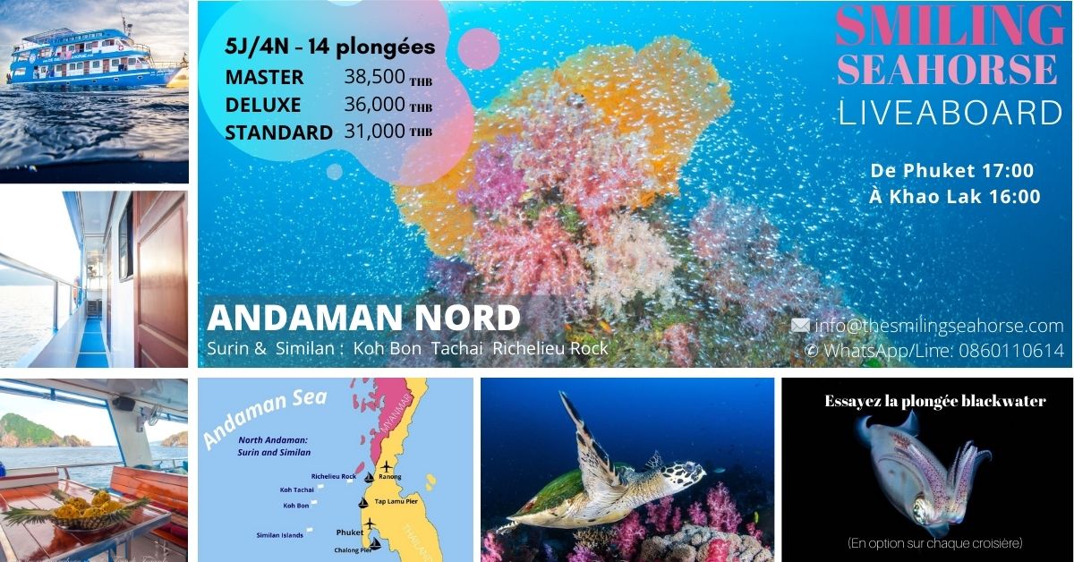 ​Le Meilleur de la Thaïlande : les iles Similan (Koh Tachai, Koh Bon), Richelieu Rock et Boonsung Wreck