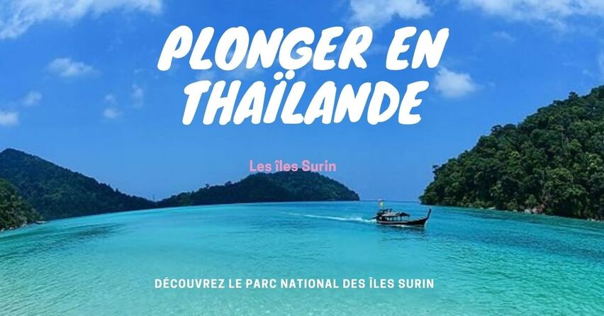 Le parc national des îles Surin, l'une des meilleures destinations de plongée en Thaïlande