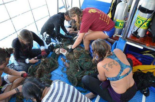 Opération nettoyage des fonds marins, The Smiling Seahorse