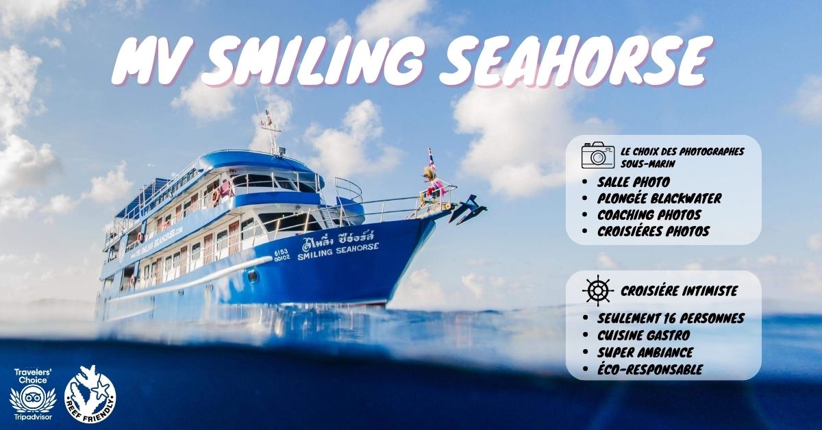 MV Smiling Seahorse