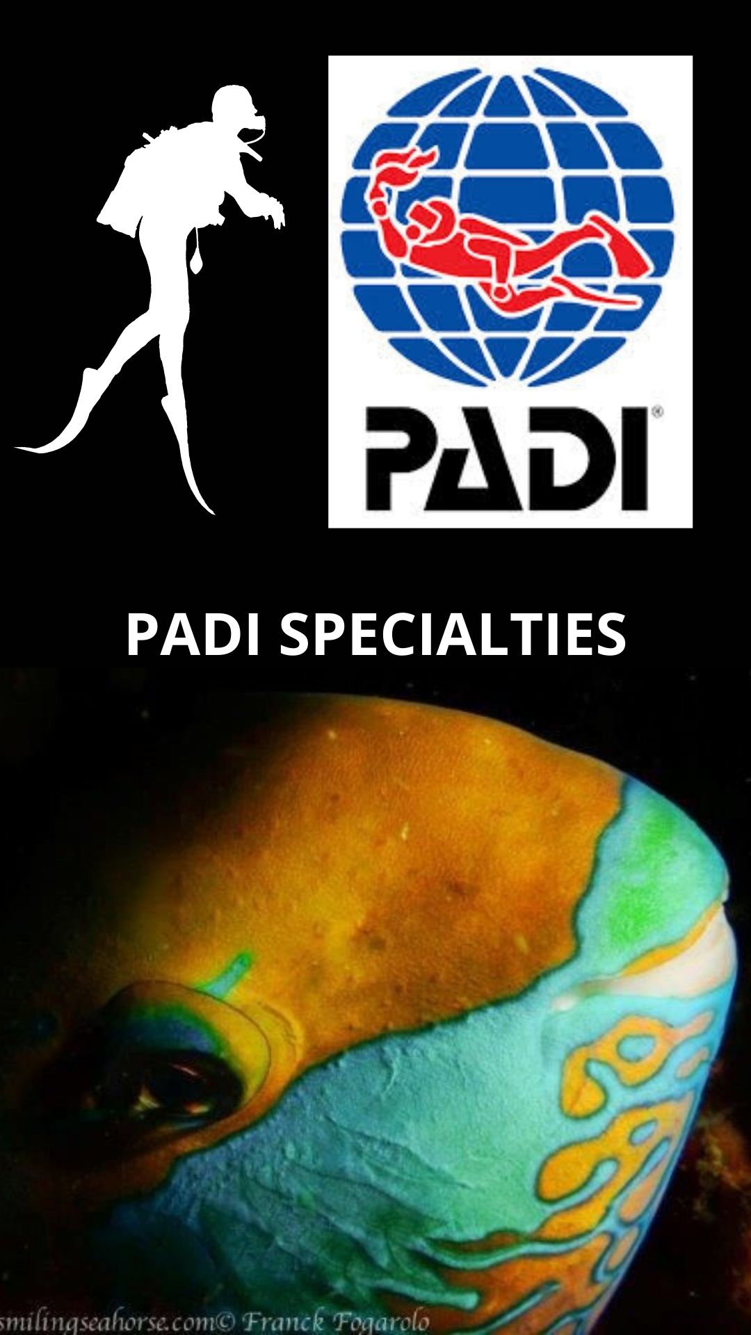 Les spécialités PADI disponibles à bord : 6000 THB chacune.