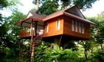 Baan khao sok bungalows