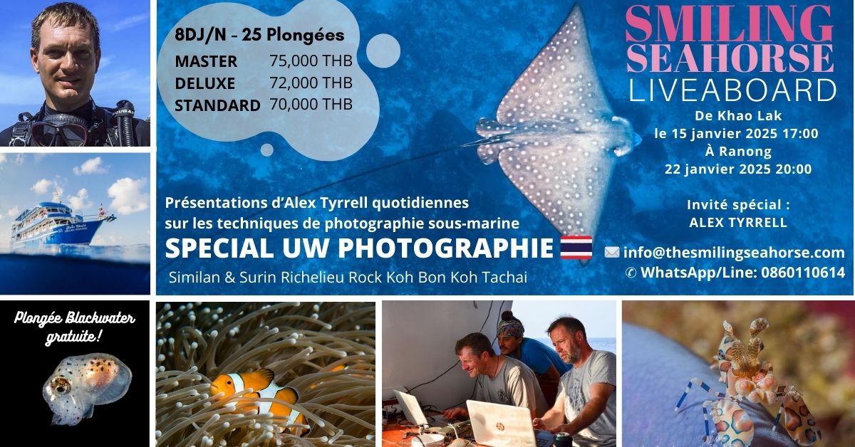 Formation en photographie sous-marine aux îles Surin et Similan